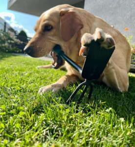 469316440_17867444931256319_6941328347495363969_n