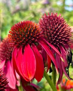 469343551_17867445858256319_2700588449378714999_n