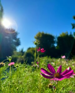 469384793_17867445000256319_1529472137891515514_n