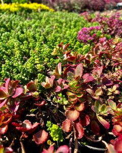 469400974_17867445660256319_8419503667483569891_n