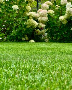 469454327_17867444970256319_1229182537629468318_n