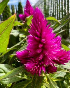 469545058_17867445114256319_2571995365976031099_n