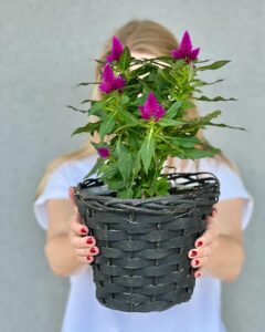 469558891_17867445078256319_7843842607065859752_n